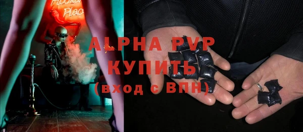 индика Переславль-Залесский