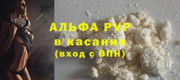 индика Переславль-Залесский