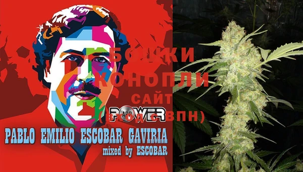 индика Переславль-Залесский