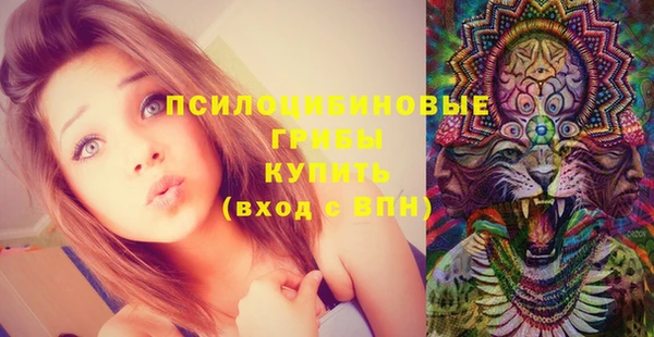 apvp Пересвет
