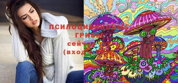 apvp Пересвет