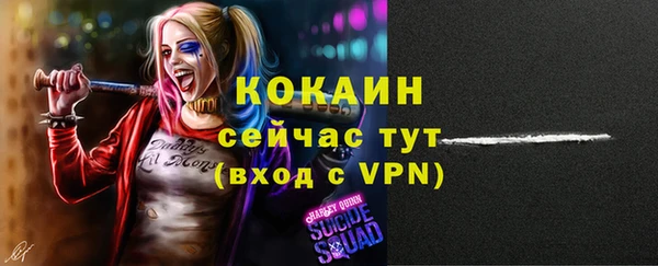 индика Переславль-Залесский