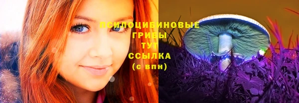 apvp Пересвет