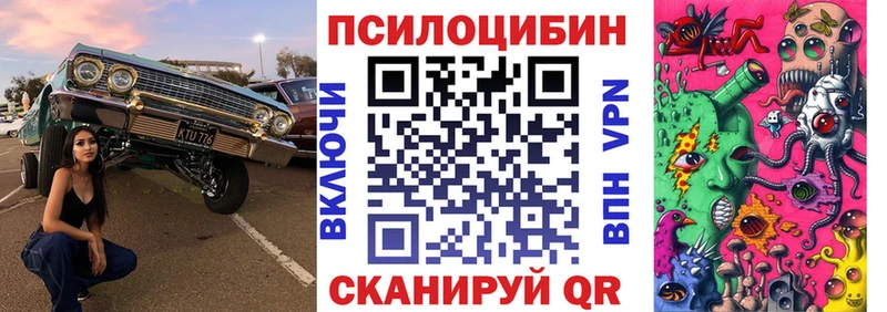 даркнет сайт  Пугачёв  Псилоцибиновые грибы мицелий 